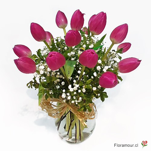 Florero de vidrio con 16 tulipanes
Color puede variar según importación
Sólo Santiago.